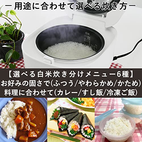 [山善] 炊飯器 一人暮らし 5.5合 マイコン式 二人暮らし 玄米 雑穀米 炊き分け13種 最短20分炊飯 「メニューに合わせた白米炊き分け機能付き」 クリーンモード搭載 予約 保温 ブラック YJ