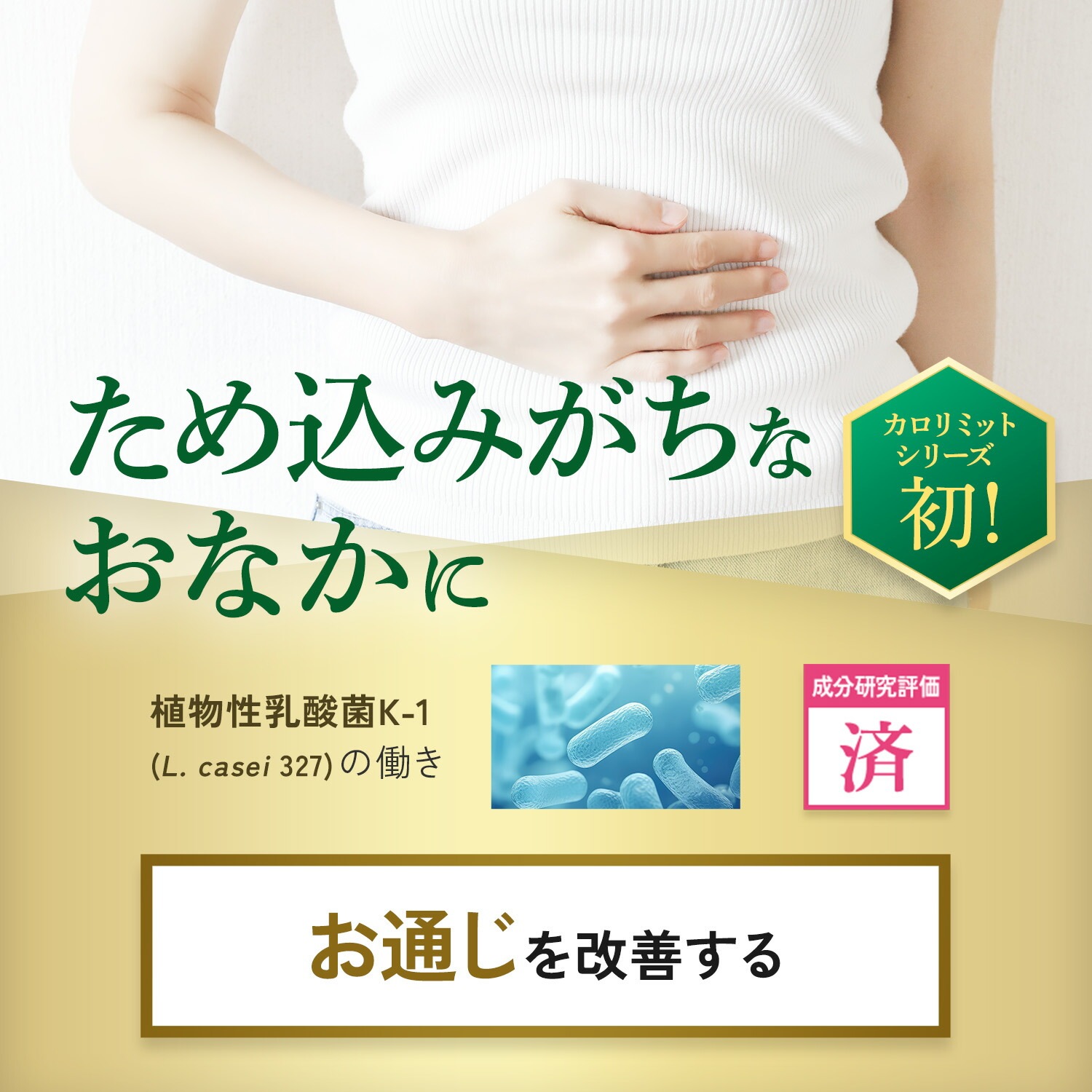 プレミアムカロリミット(機能性表示食品)90日分[ダイエット サポート サプリメント キトサン カロリー サプリ 健康食品 桑の葉 くわのは サポニン 女性 男性 ]