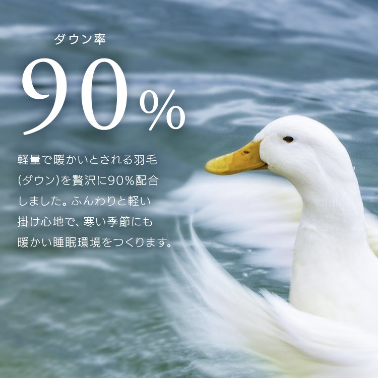【公式】 羽毛布団 セミダブル 暖かい ダックダウン 90% WDD 掛け布団 ホワイトダック ダウン 掛け布団 羽毛 消臭 抗菌防臭 KKF-WD901-SDL メガ割