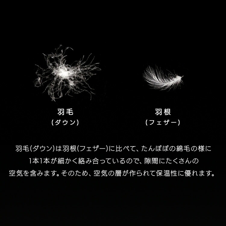 【公式】 羽毛布団 セミダブル 暖かい ダックダウン 90% WDD 掛け布団 ホワイトダック ダウン 掛け布団 羽毛 消臭 抗菌防臭 KKF-WD901-SDL メガ割
