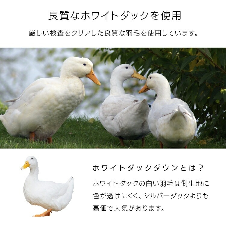 【公式】 羽毛布団 セミダブル 暖かい ダックダウン 90% WDD 掛け布団 ホワイトダック ダウン 掛け布団 羽毛 消臭 抗菌防臭 KKF-WD901-SDL メガ割