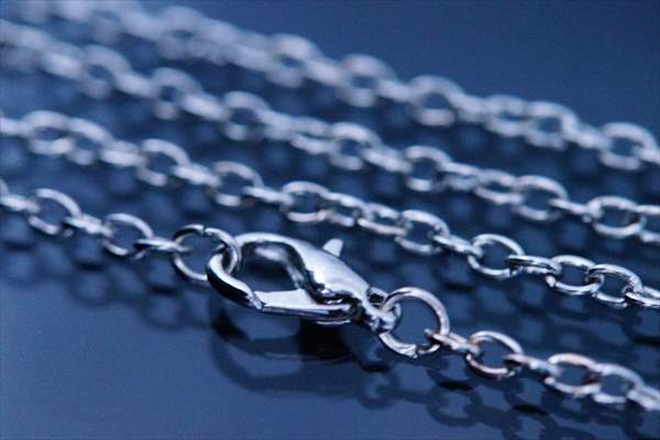 アインシュタイン 相対性理論 ノーベル賞 理論物理学者ドイツ シルバー