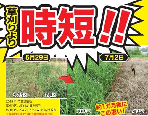 レインボー薬品 ネコソギトップRX粒剤 5kg袋