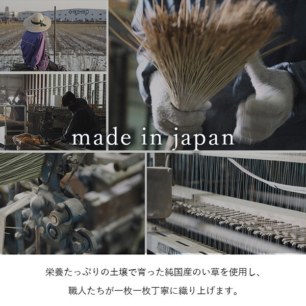 1050980302303 国産 い草ラグ カーペット ブロック調 おしゃれ シンプル クッション性 ライトグレー 約140×200cm メーカー直送 1050980302303 国産 い草ラグ カーペット ブロック調 おしゃれ シンプル クッション性 ライトグレー 約140×200cm メーカー直送