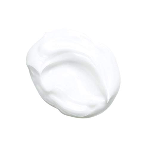 KANEBO(カネボウ) カネボウ ナイト リピッド ウェア クリーム 40ml mdprevattcaulkingandwaterproofing.com