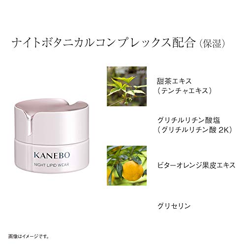 KANEBO(カネボウ) カネボウ ナイト リピッド ウェア クリーム 40ml mdprevattcaulkingandwaterproofing.com