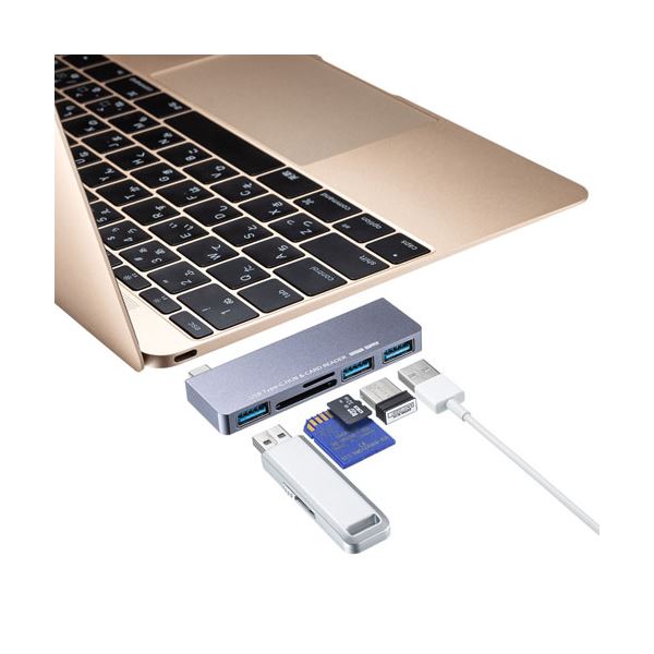 (5個セット) サンワサプライ USB Type-Cハブ(カードリーダー付き) USB-3TCHC18GYX5