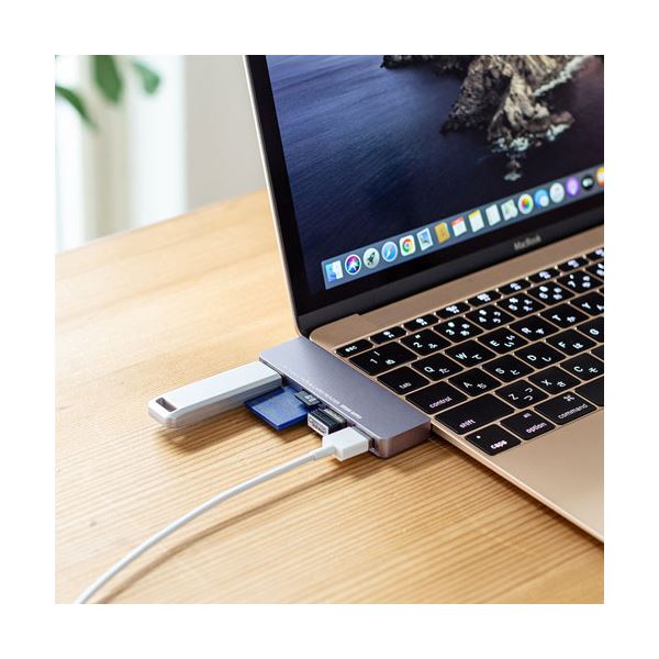 (5個セット) サンワサプライ USB Type-Cハブ(カードリーダー付き) USB-3TCHC18GYX5