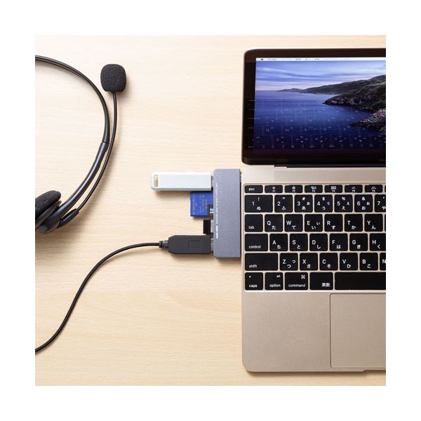 (5個セット) サンワサプライ USB Type-Cハブ(カードリーダー付き) USB-3TCHC18GYX5