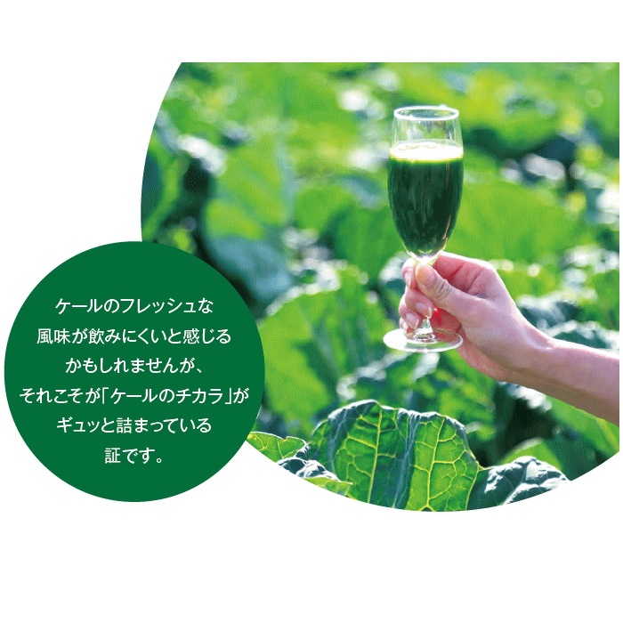 ザ ケール 420g 6袋セット 粉末青汁 +分包7g2本つき ザ ケール 420g 6袋セット 粉末青汁 +分包7g2本つき