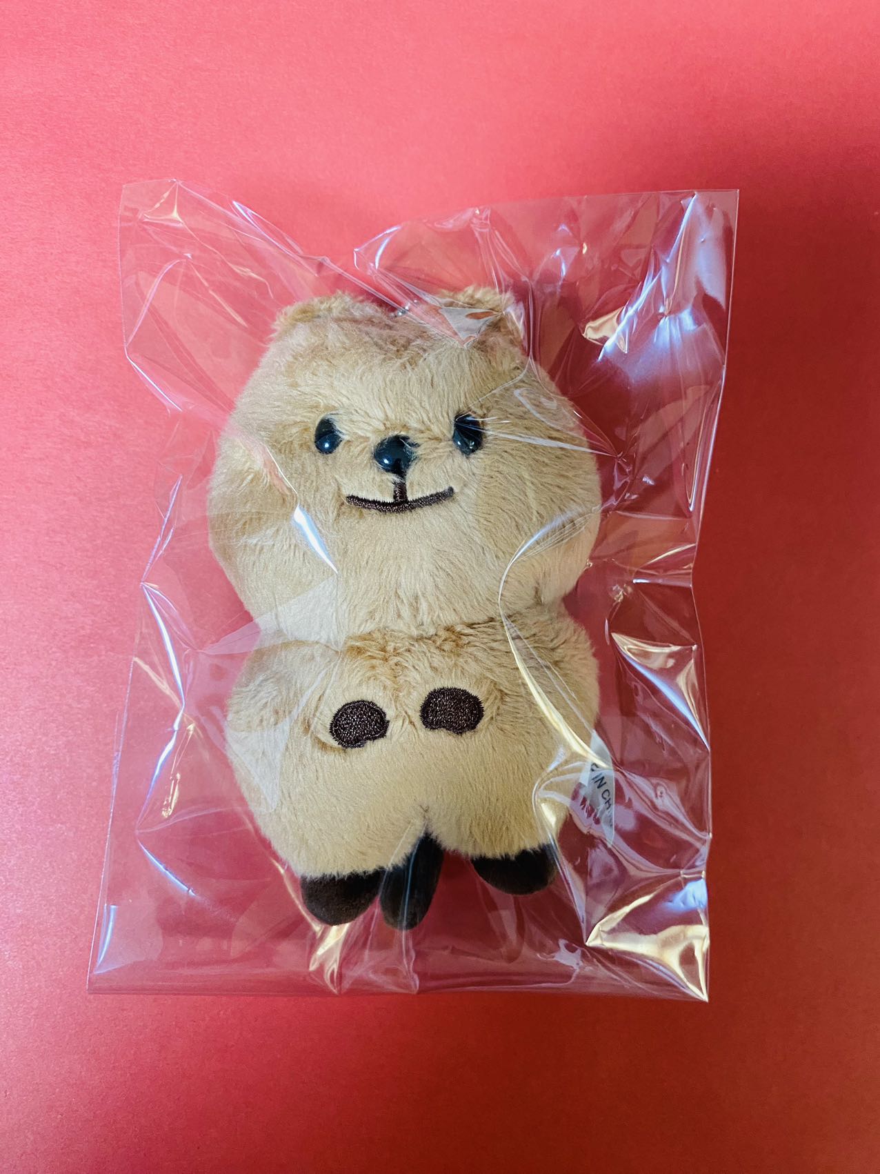 NCT127 ペンカフェ マスター ジョンウ ぬいぐるみ 11cm キムジョンカ