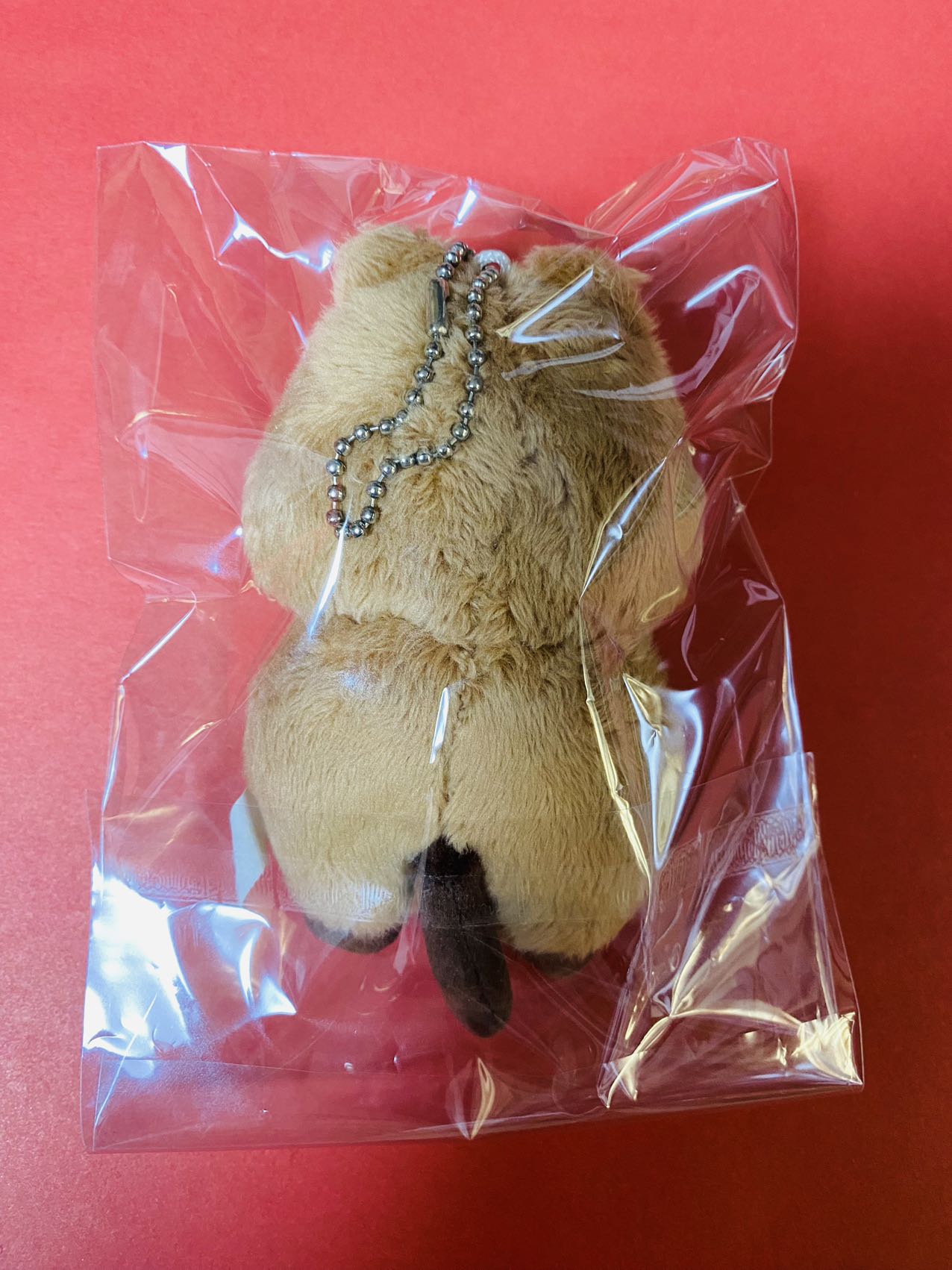 NCT127 ジョンウ マスター ぬいぐるみ NCT127 ジョンウ マスター ぬいぐるみ 2025年最新】nct127 ジョンウ