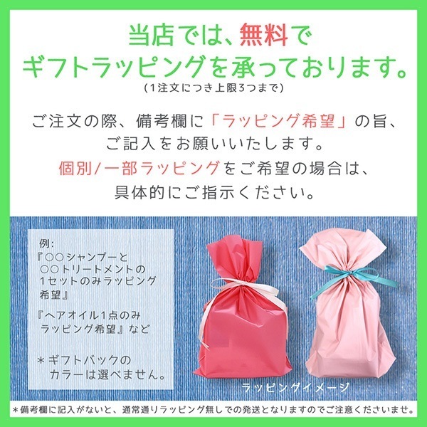 レブリ シャンプー 1000mL + トリートメント 1000g + ヘアーローション α 240mL