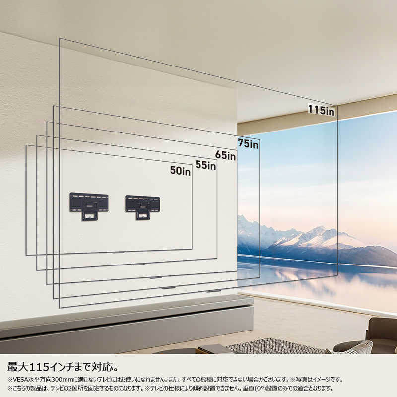 Qoo10] TCL 壁掛け金具 WM54A-115