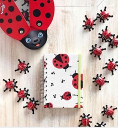 Qoo10] ムーンツレディーバードスイスチョコレート