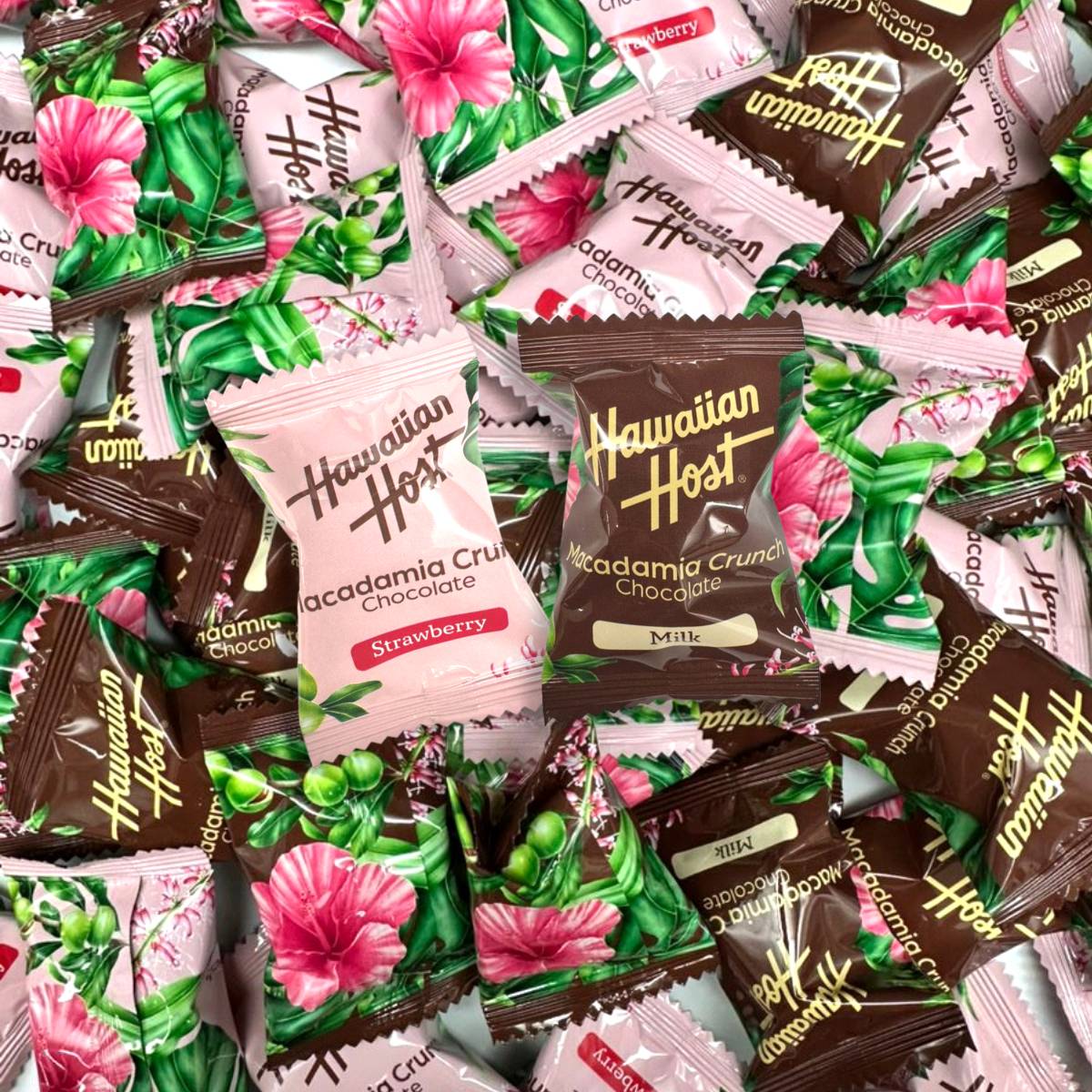 ハワイアンホースト レア テディベアー ハワイアンホースト