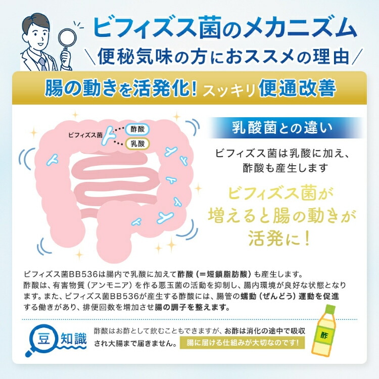 森永 ビヒダス 大腸のキホン 約90日分(3袋) ビフィズス菌 乳酸菌 サプリ ビフィズス 菌 腸内フローラ サプリメント ダイエット morinaga 善玉菌