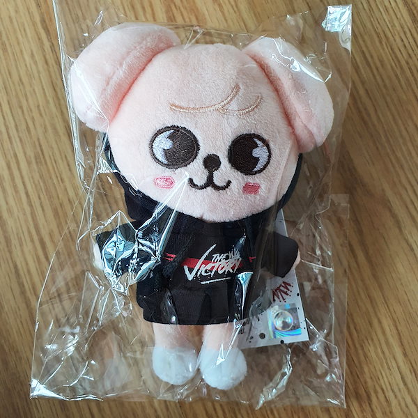 [ 公式 ] STRAYKIDS x SKZOO MINI PLUSH DOLL