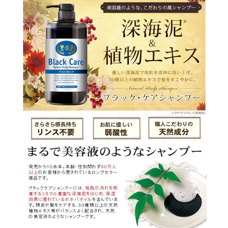 ブラックケアシャンプー　２本 Black Care ブラックケアシャンプーKD 600ml 2本セット リンス