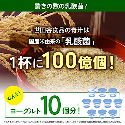 Qoo10] 世田谷自然食品 乳酸菌が入った青汁 10 : 健康食品・サプリ