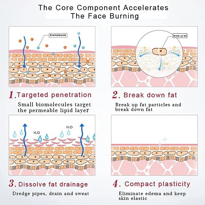 每日更新反セルライトの減量ボディ クリームの皮の引き締める脂肪燃焼のゲル スリミングジェルクリーム脂肪を燃焼して体重を減らす肥満体を改善するすぐに体重を減らす 肩 脚 腰 太もも 腕 每日更新反セルライトの減量ボディ クリームの皮の引き締める脂肪燃焼のゲル スリミングジェルクリーム脂肪を燃焼して体重を減らす肥満体を改善するすぐに体重を減らす 肩 脚 腰 太もも 腕
