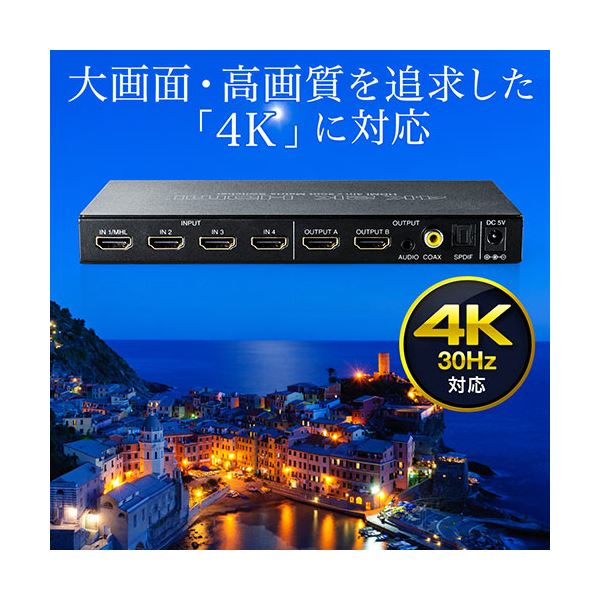 サンワダイレクトHDMIマトリックス切替器(4入力2出力 4K/30Hz対応 光 同軸デジタル音声端子つき) 400-SW0271個