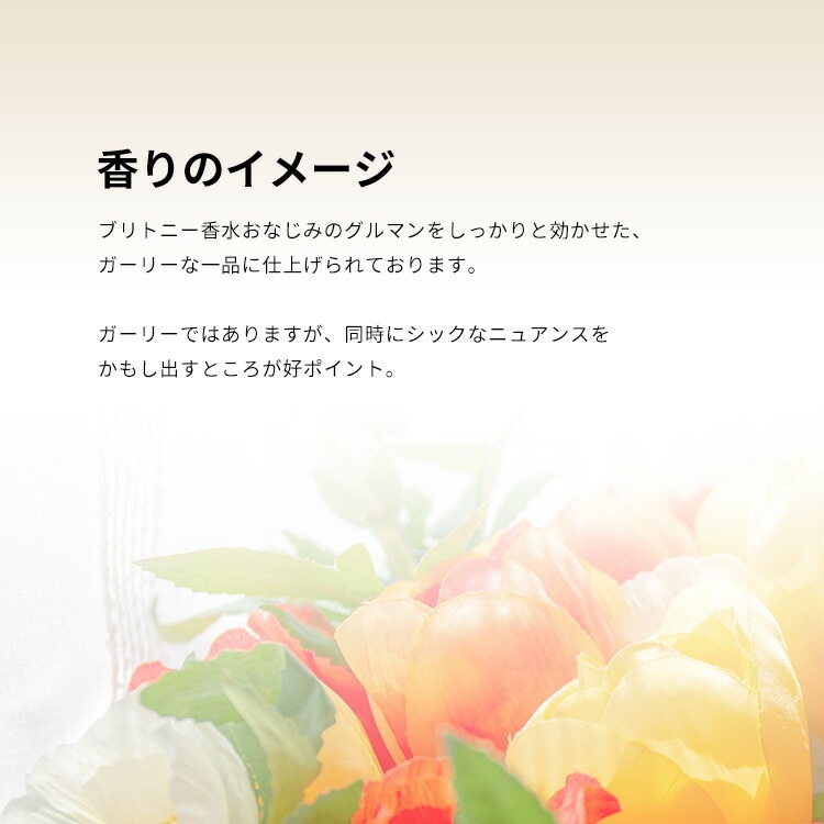 ブリトニー スピアーズ ヒドゥンファンタジー EDP SP 100ml