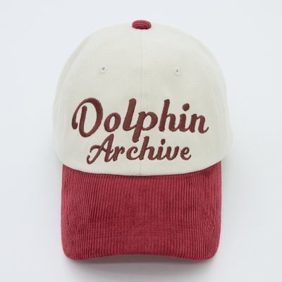 【BTS テテ V着用】Dolphin archive two tone ball cap レディース メンズ カジュアルK-POP アイドル着用  大人気 韓国ファッション