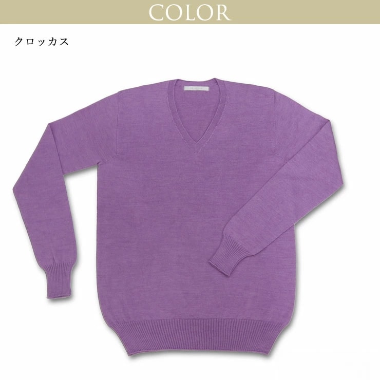 シルク Vネック プルオーバー セーター 長袖 トップス ニットトップス シルク100％ レディース シルクセーター あたたかい 暖かい 敏感肌 肌にやさしい 日本製 h01