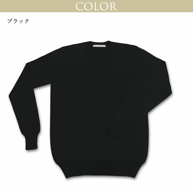 シルク Vネック プルオーバー セーター 長袖 トップス ニットトップス シルク100％ レディース シルクセーター あたたかい 暖かい 敏感肌 肌にやさしい 日本製 h01