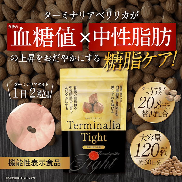 ビタブリッドジャパン ターミナリアファースト 120粒