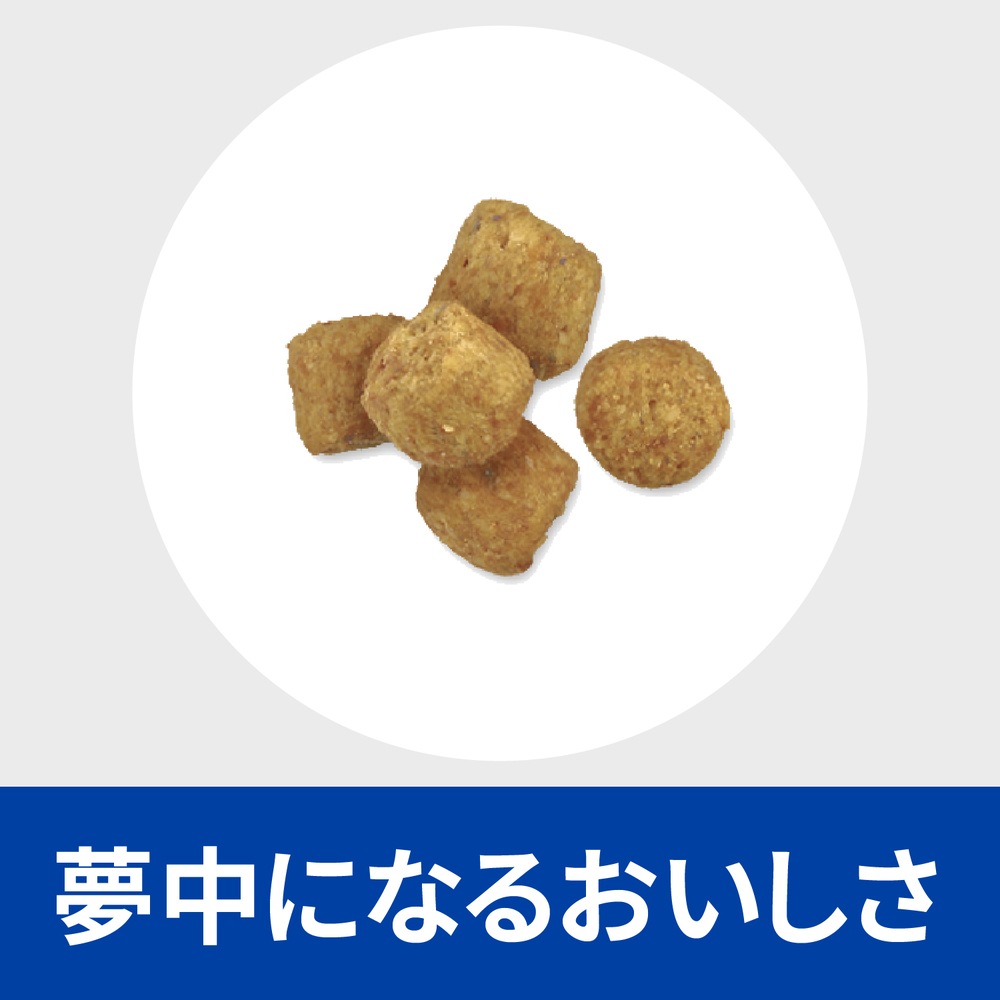 【3袋セット】ヒルズ 食事療法食 犬用 r/d アールディー 減量 ドライ 小粒 3kg