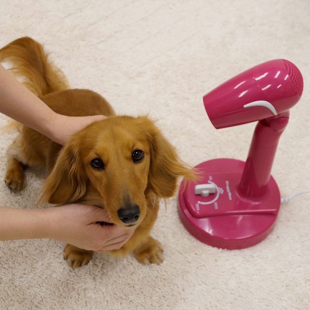 ドギーマン フリーハンドドライヤー 1200W ドギーマン フリーハンドドライヤー 1200W