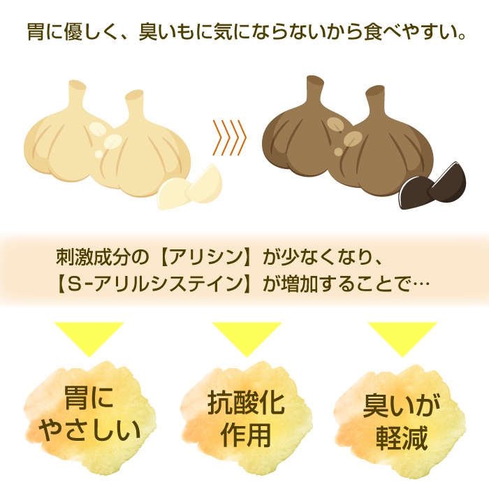 黒にんにく 発酵器 DX デラックス ご自宅 簡単 ボタン操作 押して待つだけ アミノ酸 アルギニン ポリフェノール 健康習慣 美味しい 手軽 免疫力 活性化 滋養強