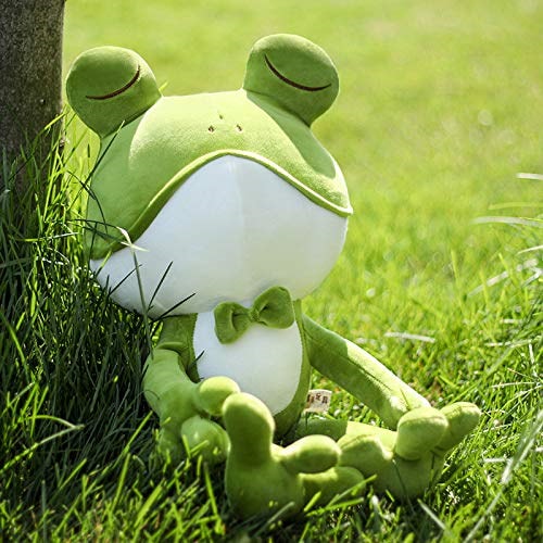 大きな　カエル　ぬいぐるみ　中古品 大きな カエル ぬいぐるみ 中古品 - メルカリ