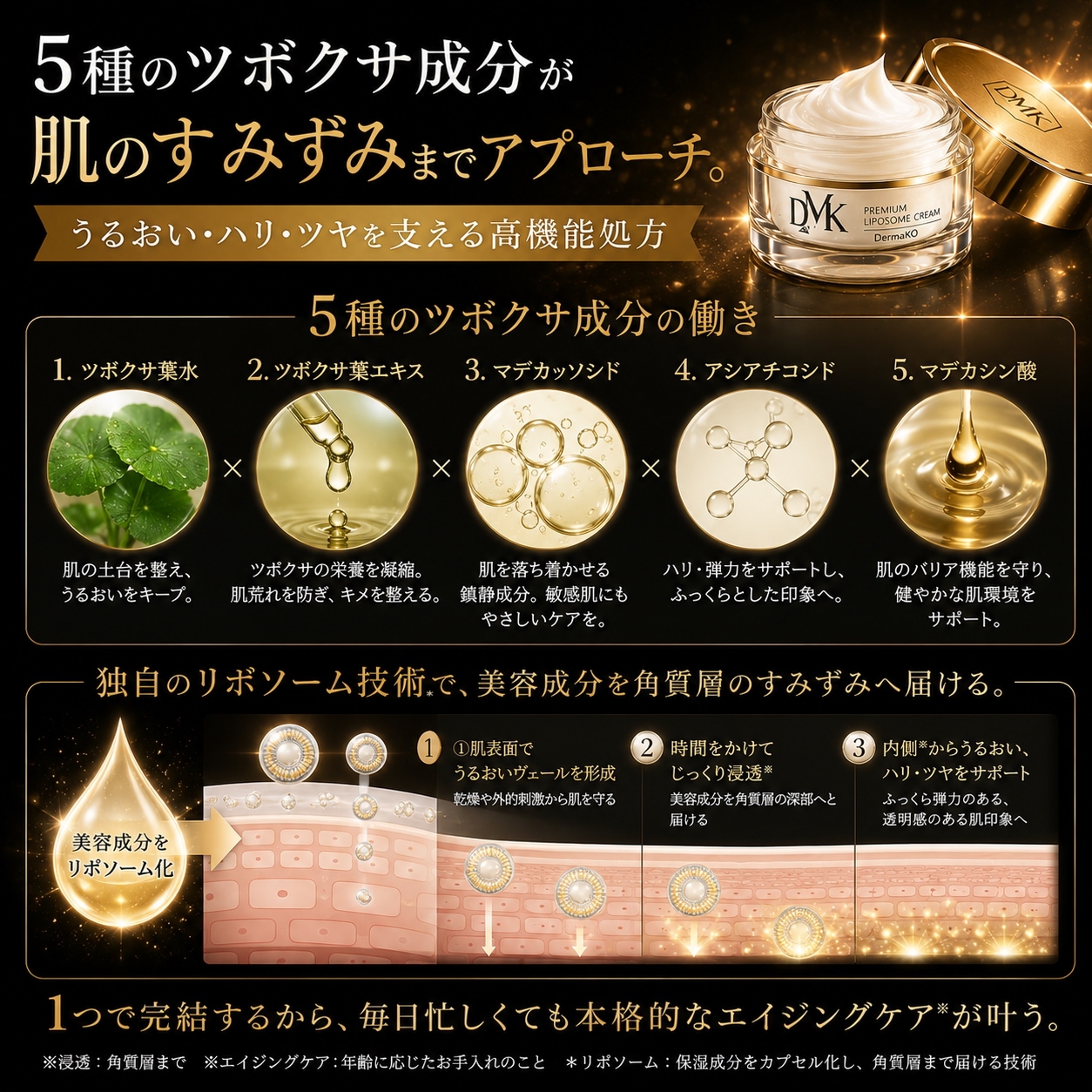 Qoo10] 【正規販売店】DermaKO ダーマコ