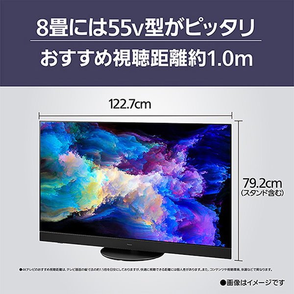Qoo10] パナソニック パナソニック Panasonic VIE