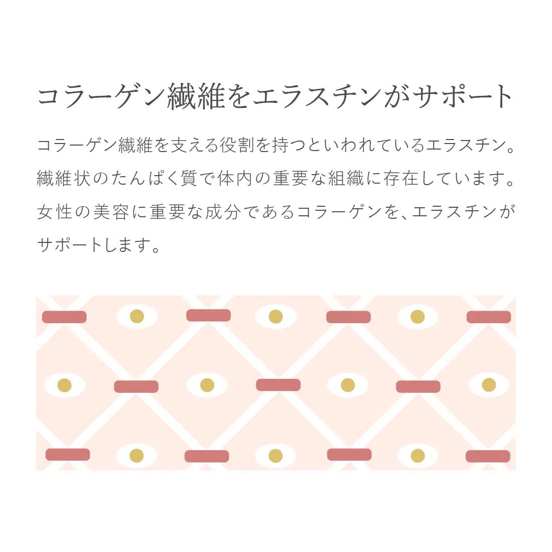 ポスト投函 【2個セット】 BV LINE supplement+ 60粒入 エラスチン コラーゲン プラセンタ 大豆イソフラボン バストケア ポスト投函 【2個セット】 BV LINE supplement+ 60粒入 エラスチン コラーゲン プラセンタ 大豆イソフラボン バストケア