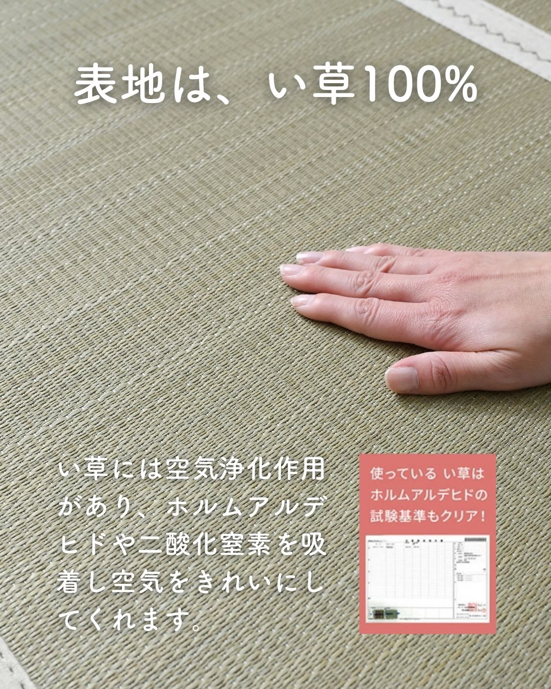 畳ベッド 折りたたみ 折りたたみベッド い草 畳 木製 パタントベッド セミシングルショート ナチュラル(無塗装) 畳ベッド 折りたたみ 折りたたみベッド い草 畳 木製 パタントベッド セミシングルショート ナチュラル(無塗装)