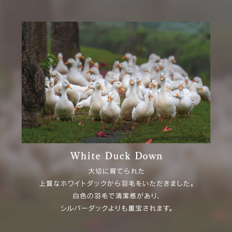 WDD85％超軽量 エクセル S 10DS2219-85W0.7IR 新生活