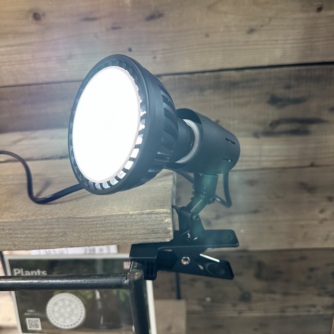 ゼンスイ　クリップソケット　ＰＬＡＡＲＥＡ　　水槽　照明 lonceng123.net