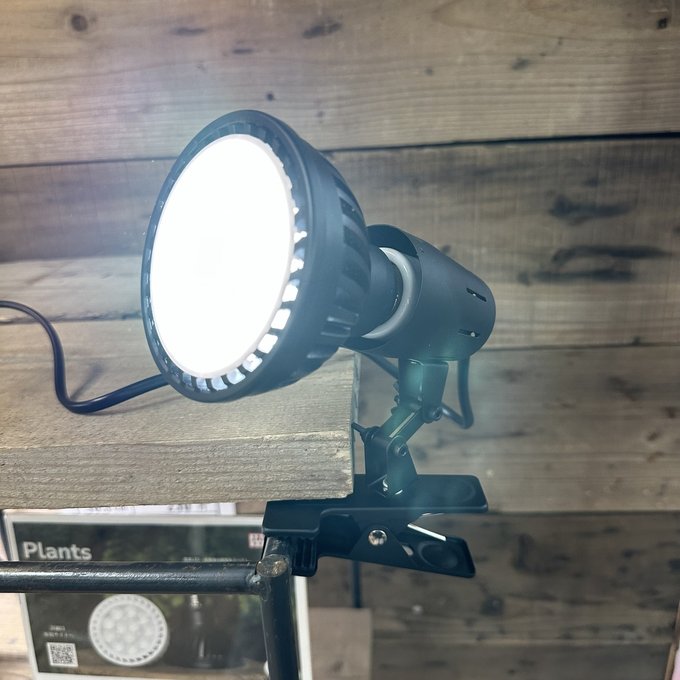 ゼンスイ　クリップソケット　ＰＬＡＡＲＥＡ　　水槽　照明 lonceng123.net