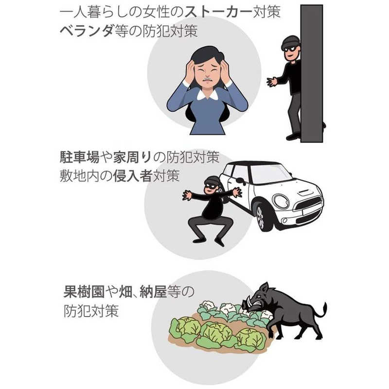 リーベックス SD録画式液晶画面付カメラ MSD300 リーベックス SD録画式液晶画面付カメラ MSD300