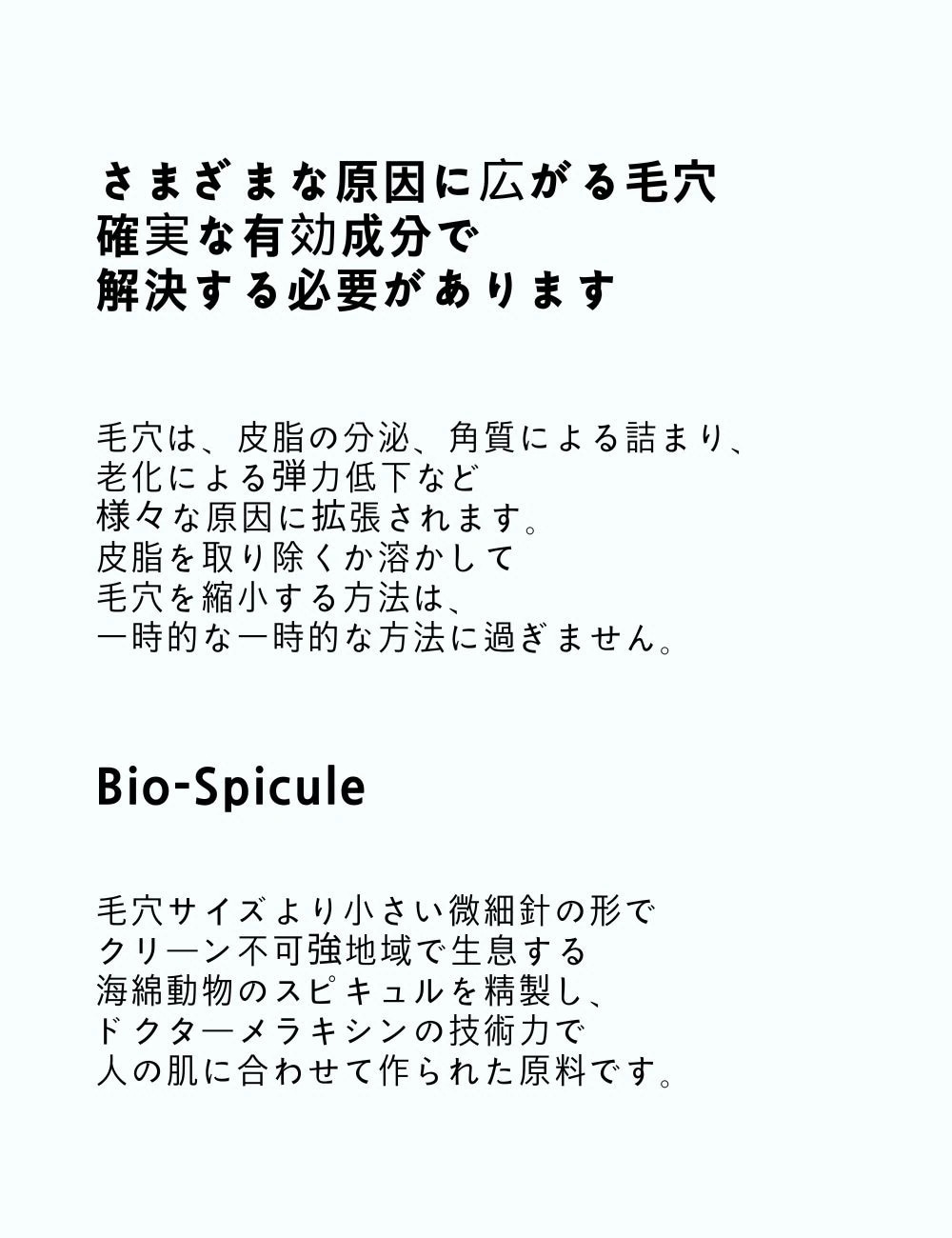 BP毛穴ケアセット BP毛穴ケアセット