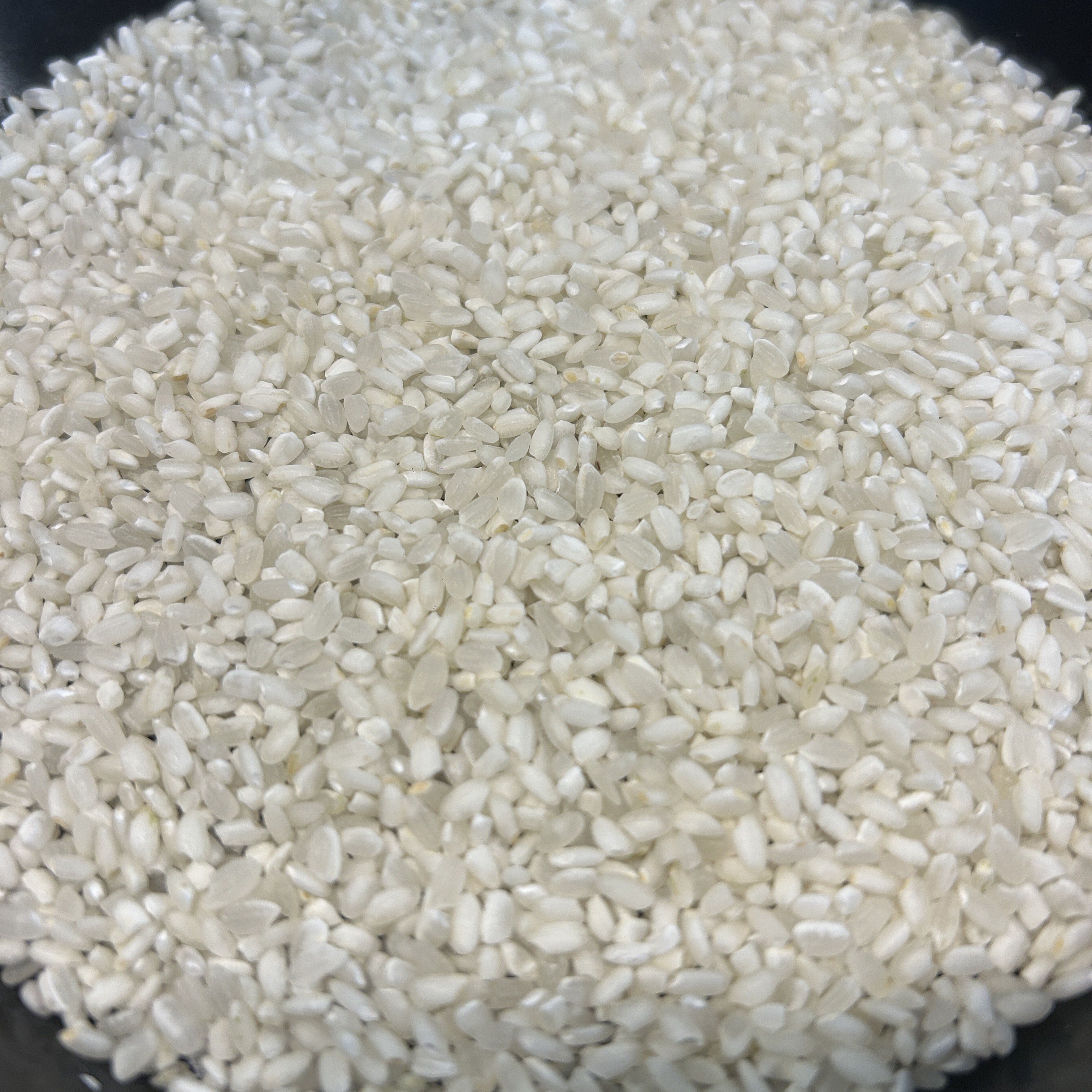 Qoo10] 生活応援米 20kg 【令和7年産入り】