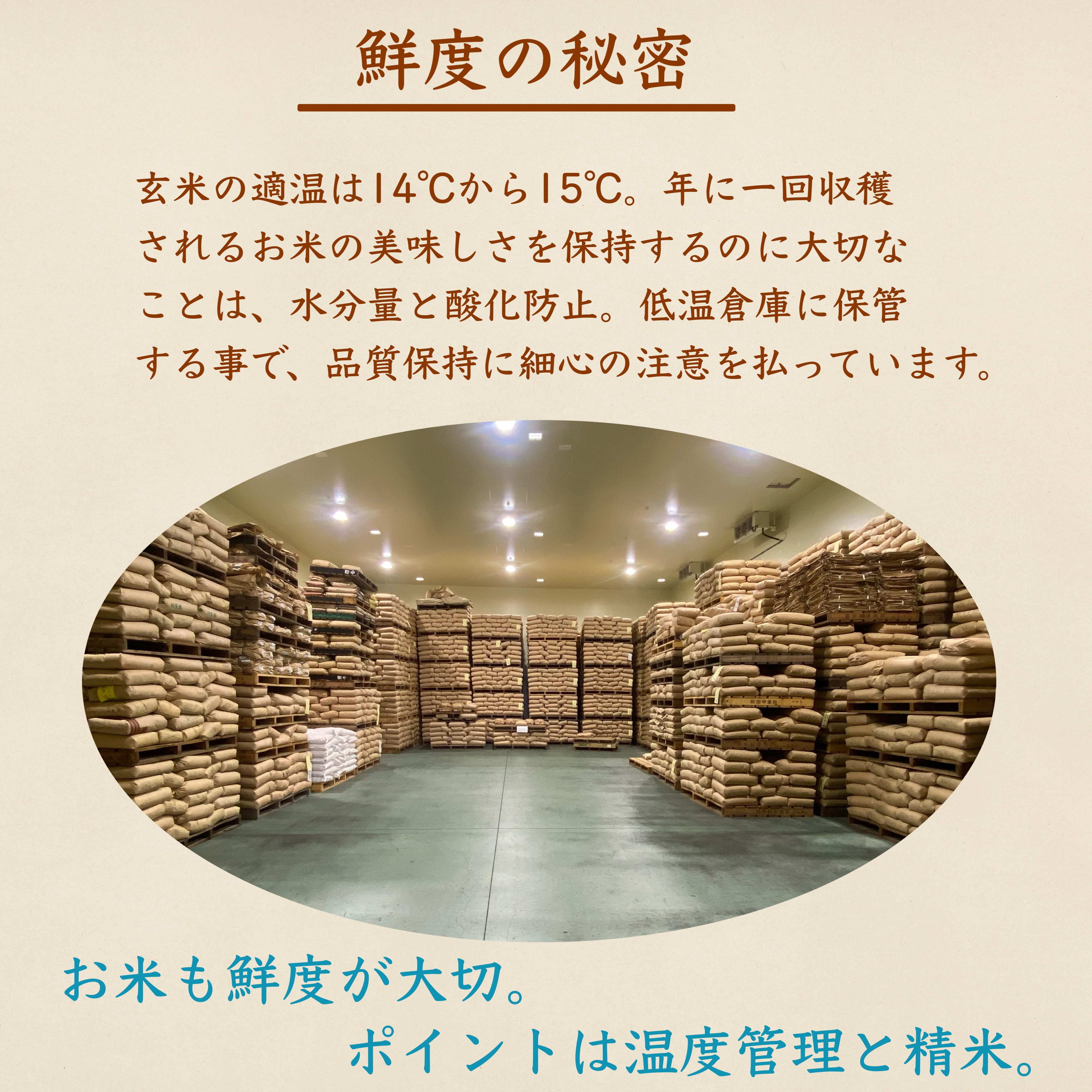Qoo10] 生活応援米 20kg 【令和7年産入り】
