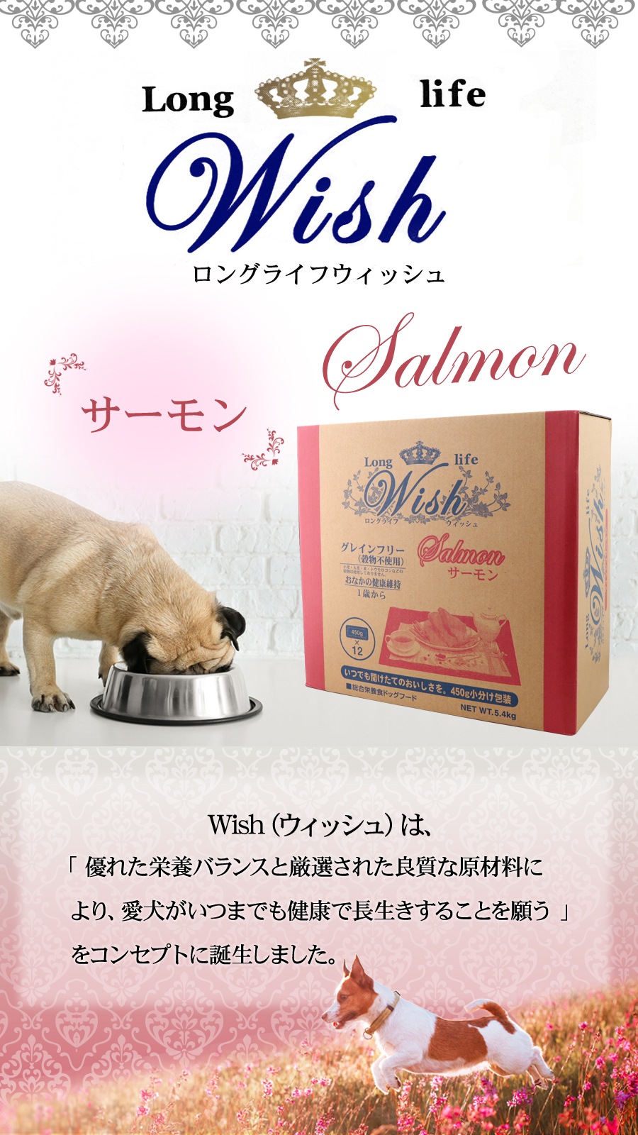 さるるるる様専用︎ドクターRe9 ナノメラクリーム、化粧水のセット