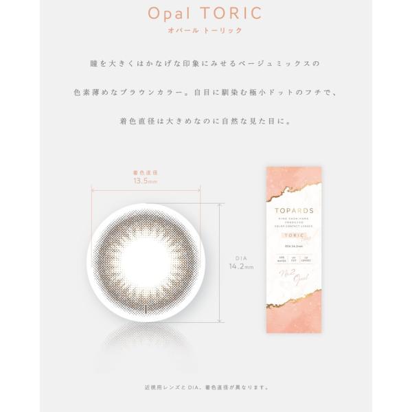 カラコン 乱視用 トーリック 1箱10枚入り 【3箱セット】 度あり 度なし ワンデー 1day 14.2mm 指原莉乃 さっしーランキング おすすめ カラコン 乱視用 トーリック 1箱10枚入り 【3箱セット】 度あり 度なし ワンデー 1day 14.2mm 指原莉乃 さっしーランキング おすすめ