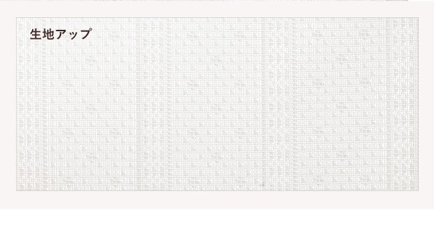 ミラーレースカーテン 目隠し 洗える プライバシー保護 防炎 遮熱 アレルブロック ウォッシャブル 日本製 幅200cm 丈133-258cm