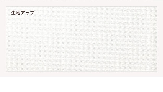 ミラーレースカーテン 目隠し 洗える プライバシー保護 防炎 遮熱 アレルブロック ウォッシャブル 日本製 幅200cm 丈133-258cm